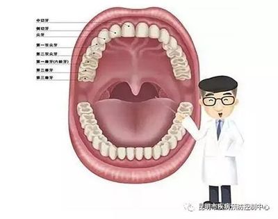 科學(xué)規(guī)范護(hù)牙齒 健康口腔助成長(zhǎng)
